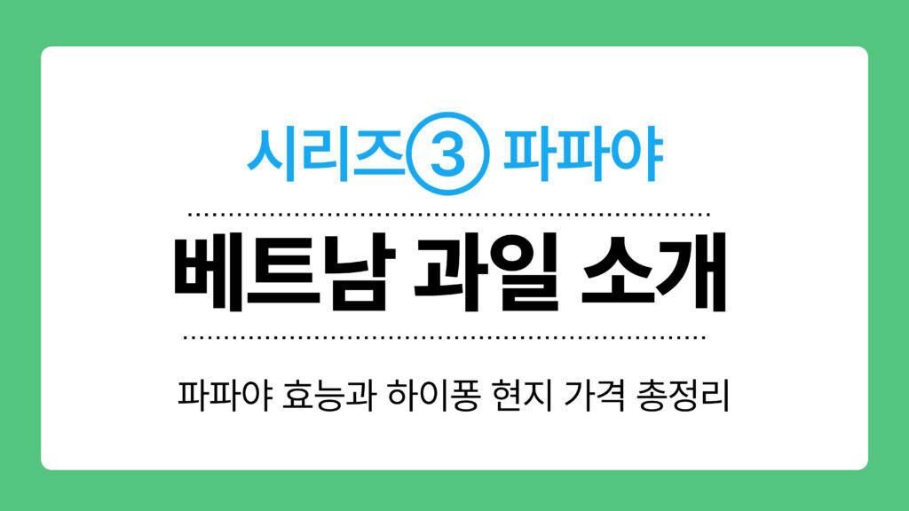 베트남 과일 소개 이미지