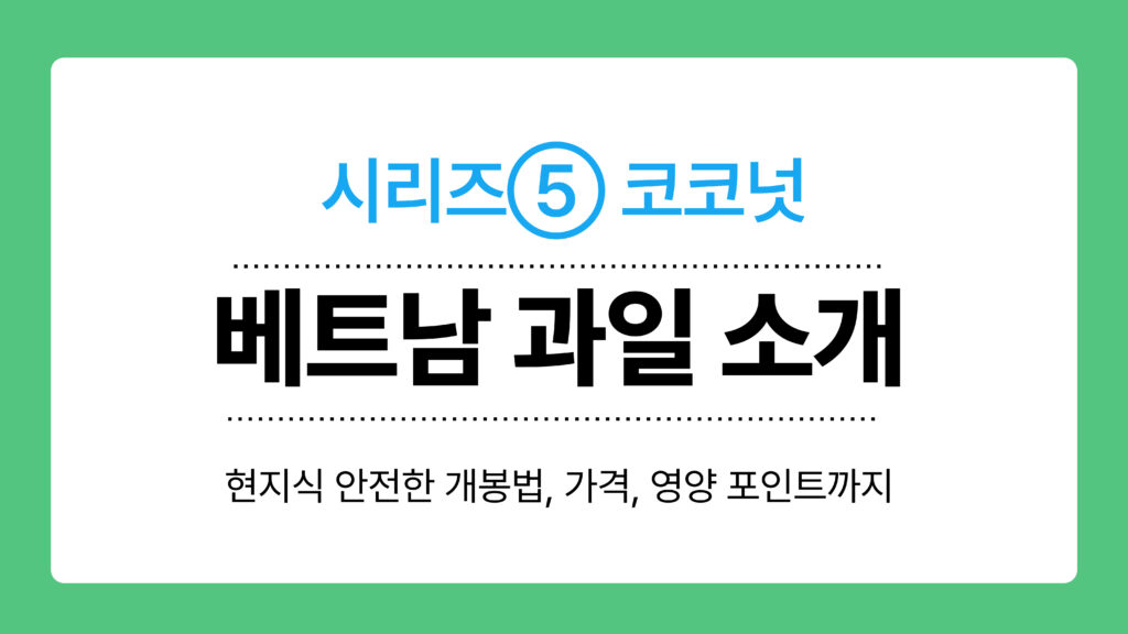 베트남 과일 소개 이미지