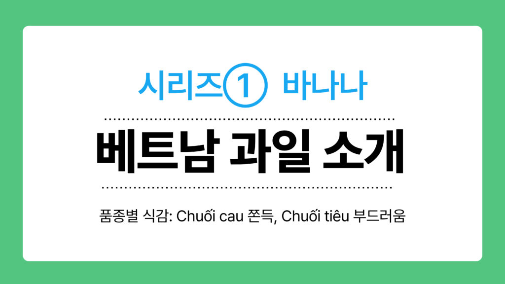 베트남 과일 소개 이미지