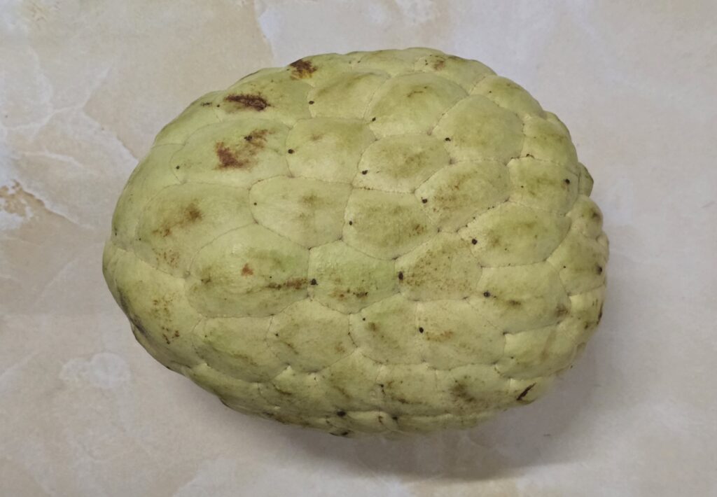 베트남 망꺼우 이미지