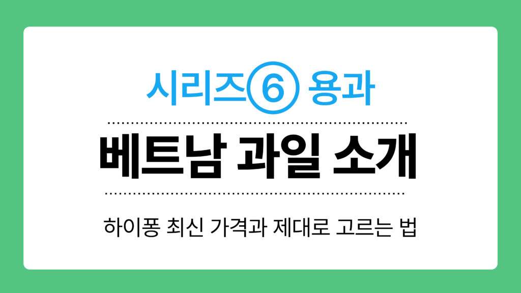 베트남 과일 소개 이미지