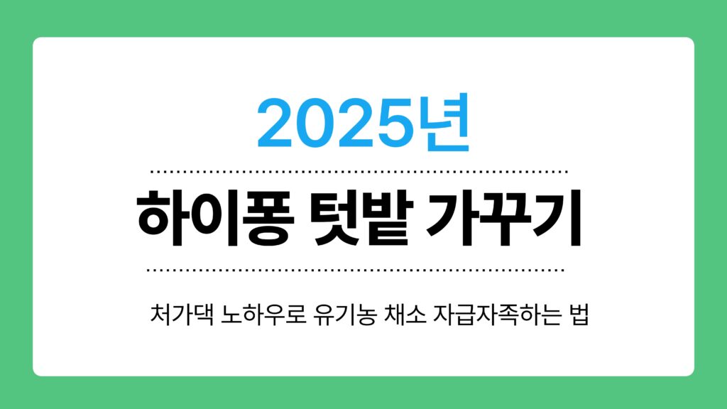 하이퐁 텃밭 가꾸기 이미지