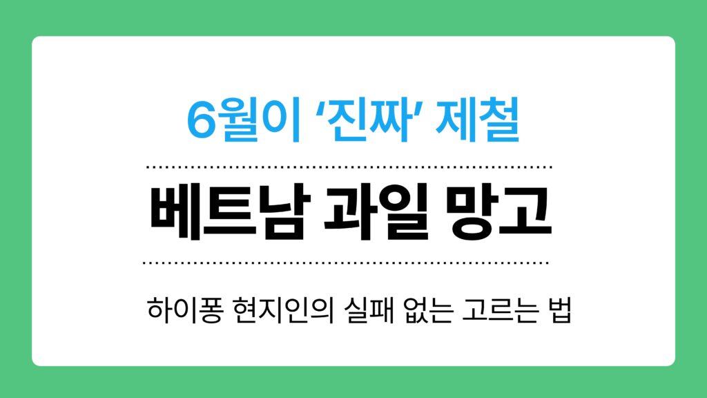 베트남 과일 망고 이미지