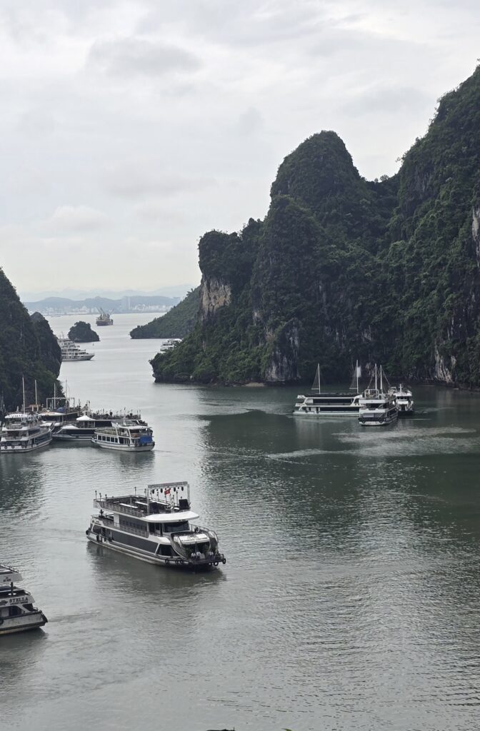 하롱베이 크루즈 투어 이미지