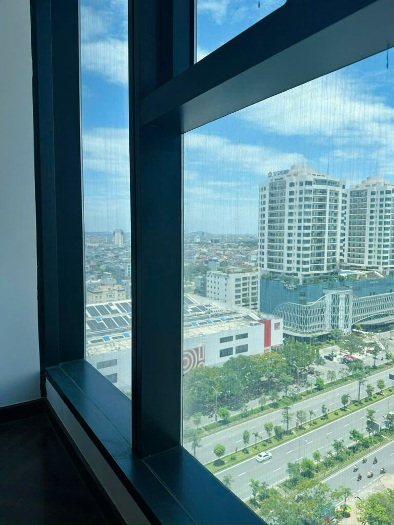 하이퐁 도지 다이아몬드 크라운 이미지