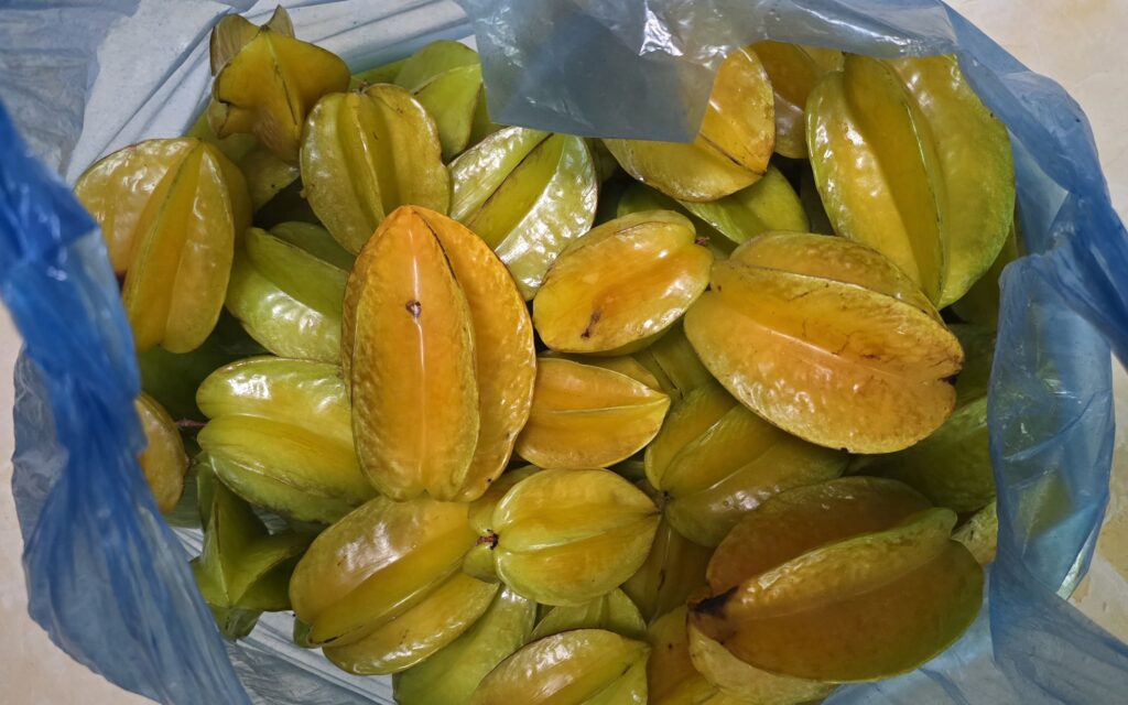 베트남 과일 스타프루트 이미지