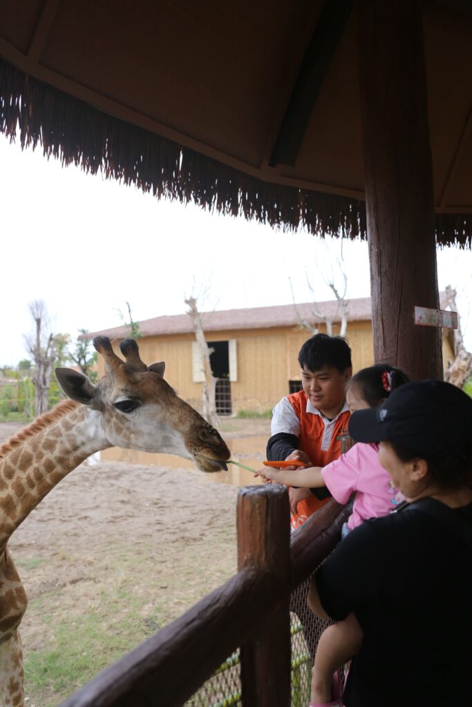 하이퐁 빈원더스 부옌 이미지