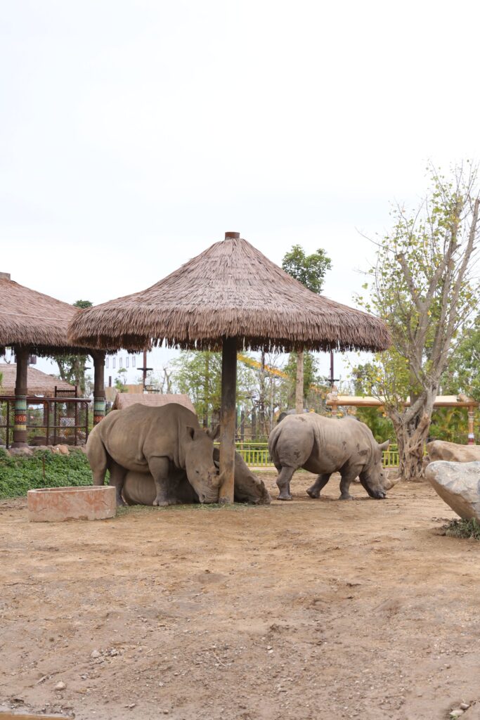 하이퐁 빈원더스 부옌 이미지