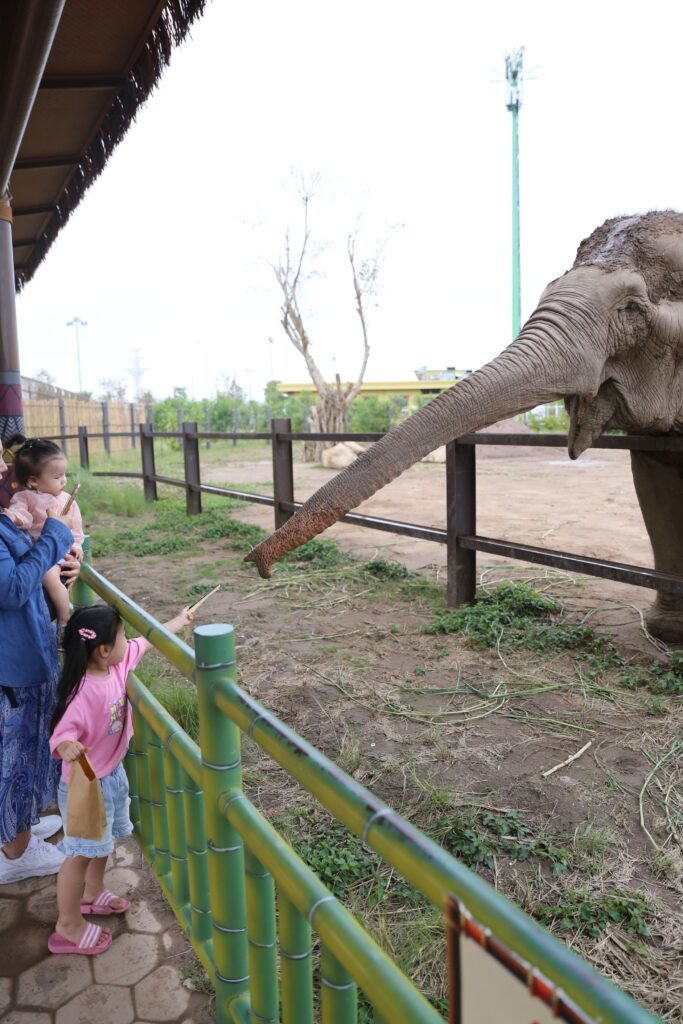 하이퐁 빈원더스 부옌 이미지