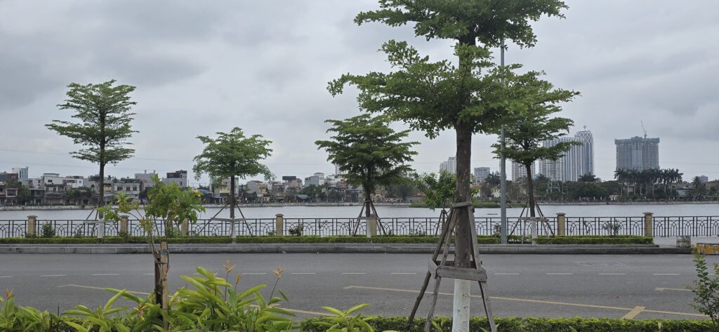 하이퐁 락짜이 안비엔 호수 이미지