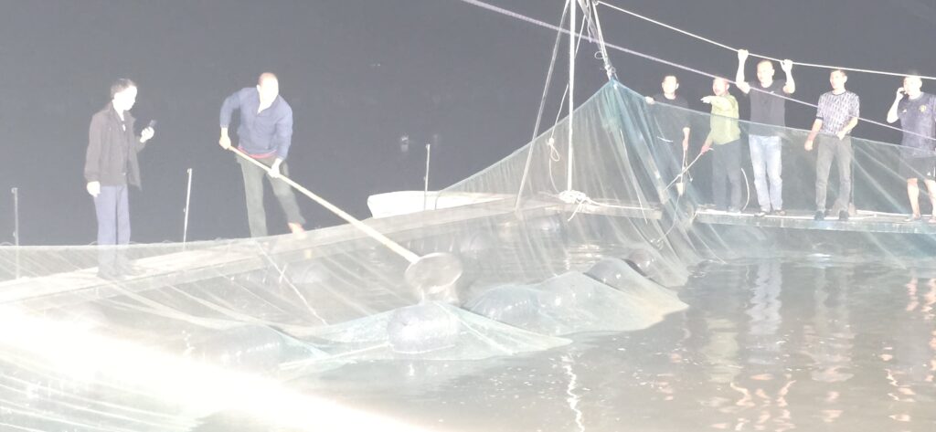 베트남 번돈 오징어 낚시 이미지