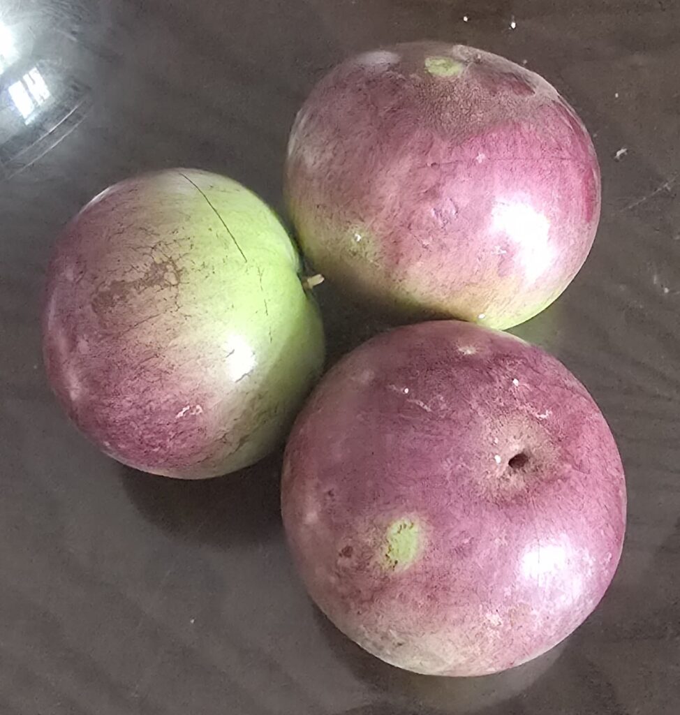 베트남 스타애플 이미지